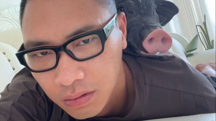 Kursiku lagi-lagi didorong babi, percaya nggak?