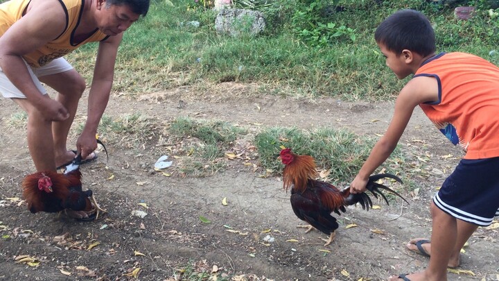 Boston Round head vs jet sweater SPAR