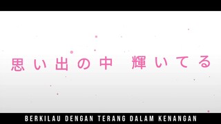SEVENTEEN AKB48 | AMV EDIT | kotobuki minami