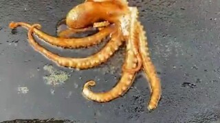 Một Đồng Ăn Được Gì  Ẩm Thực Nướng Đá