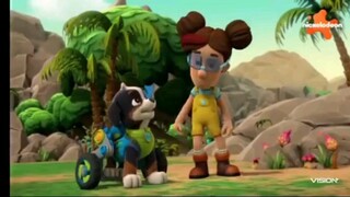 Paw patrol musim 8 Episode 7 dan Episode 8 Bahasa indonesia Vision+