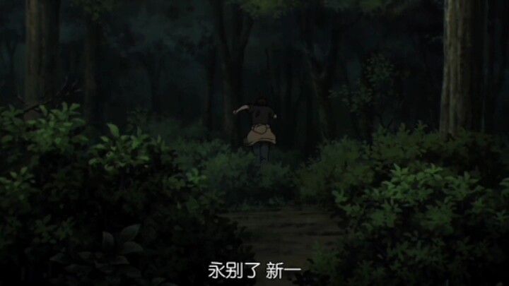 Goodbye Shinichi