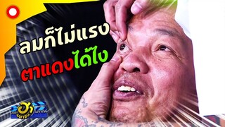 ตรวจฉี่พิสูตรโรค! ต้องติดขนาดไหน? ถึงได้"ม่วง"ขนาดนี้ | บริษัทฮาไม่จำกัด(มหาชน)