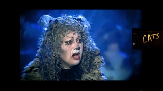 La historia de CATS. EL MUSICAL