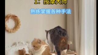 Skills Guys Learn After Falling in Love