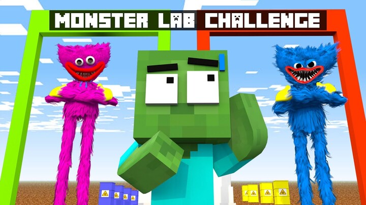 Monster School: Monster Lab Challenge - Baby Zombie become Huggy Wuggy | Minecraft Animation