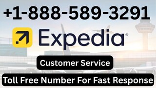 Quick® List of Official Expedi𝓪™️REservation™️ Contact Numbers in the usa : the Complete Detailed