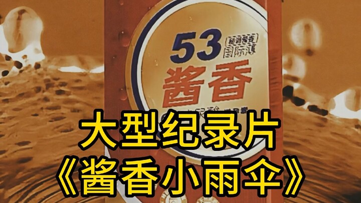 สารคดีขนาดใหญ่เรื่อง “ร่มเล็กสายฝนหอม”