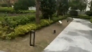 看似赢了 实际输的一塌糊涂