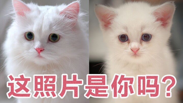 The ones who love you never really leave—they just slip into your memories.