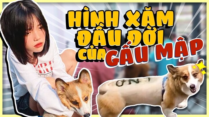 LẦN ĐẦU GẤU MẬP ĐI XĂM HÌNH