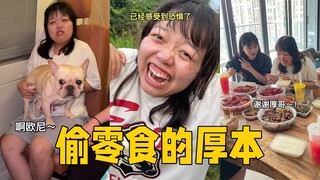 厚哥下次别干这种事了，你是什么人我们都知道#搞笑 #vlog #爆笑