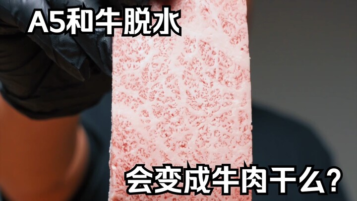 Thịt bò A5 thượng hạng đã được khử nước có trở thành thịt bò khô không? | Loạt video “Bạn có thích n