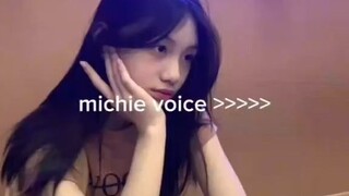 michie voice