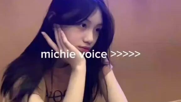 michie voice