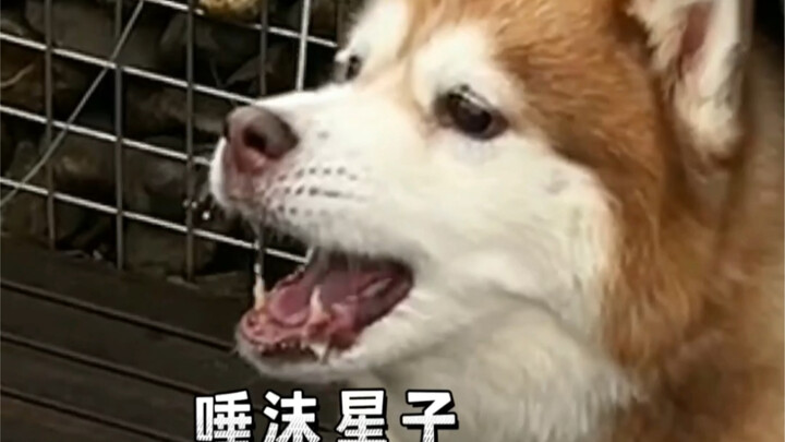 ขอบคุณที่ลูกรักของแม่ยื่นมือเข้ามาช่วย แต่ครั้งหน้าไม่ต้องลำบากขนาดนี้ก็ได้นะจ๊ะ