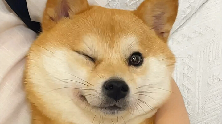 إذا تم اختطافك، فرِّم عينيك!