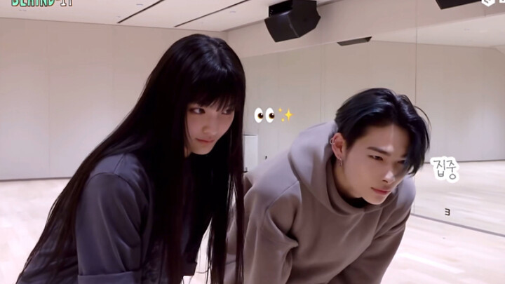 ไลน์ญี่ปุ่น! i Dancer's Victory iroha｜niki Nishimura Riki｜เบื้องหลัง Shotaro Challenge【ILLIT】【ENHYPE