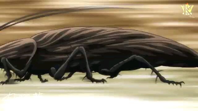 Baki