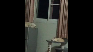 เหมือนจริงด้วยนะ5555