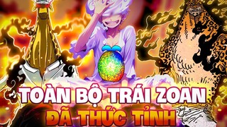 TOÀN BỘ TRÁI ZOAN ĐÃ THỨC TỈNH SỨC MẠNH CHO ĐẾN HIỆN TẠI?!