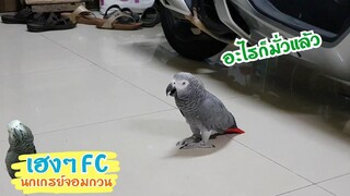 EP.195 คนอื่นพูดมั่วหมด เฮงพูดถูกคนเดียว