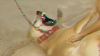 惨 叫 电 音 狗~