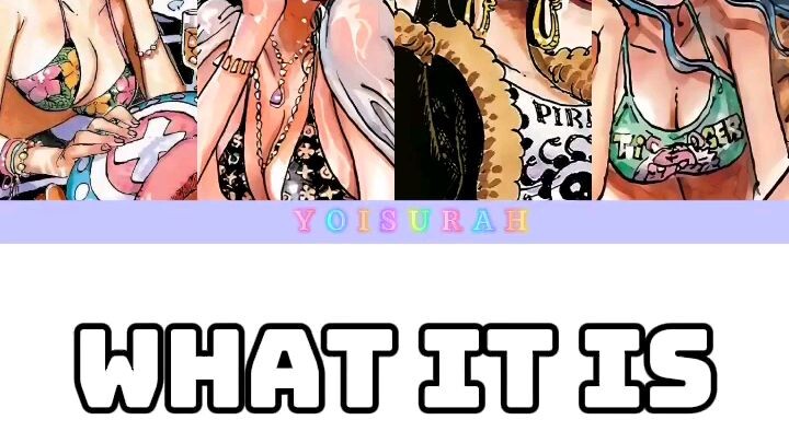 What a wonderful song by one piece characters