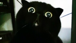 The story of Qian Suisui and Tuo Hai!