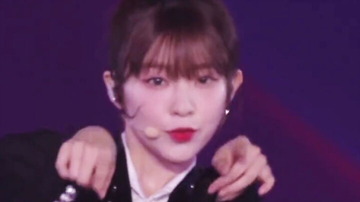 Red Velvet Wildside 2022家族演唱会舞台