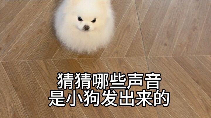 No-prize guessing game,