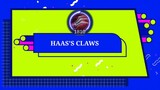 HAAS'S CLAWS PHYSICAL ATTACK BASIC GUIDE 2022 | NEW UPDATE #WeBetterThanMe