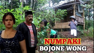 NUMPAKI BOJONE WONG ~ WOKO CHANNEL TERBARU 2023