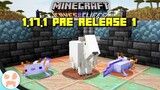 Minecraft 1.17.1 ON THE WAY! Axolotl, Goat, & Drowned Changes! | Minecraft 1.17.1 Pre Release 1