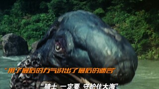 “骑士 一定要保护好大海”