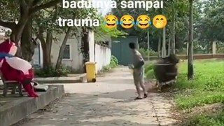 Pernah liat Sapi trauma sama Kodok guys 😓😵