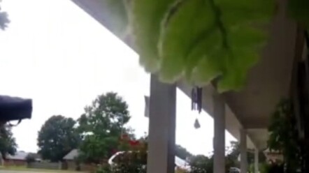 Bà: Con thật sự cảm ơn bà!