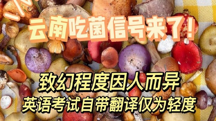 Turns out, you don’t realize you’ve been poisoned by mushrooms until you start seeing things you sho