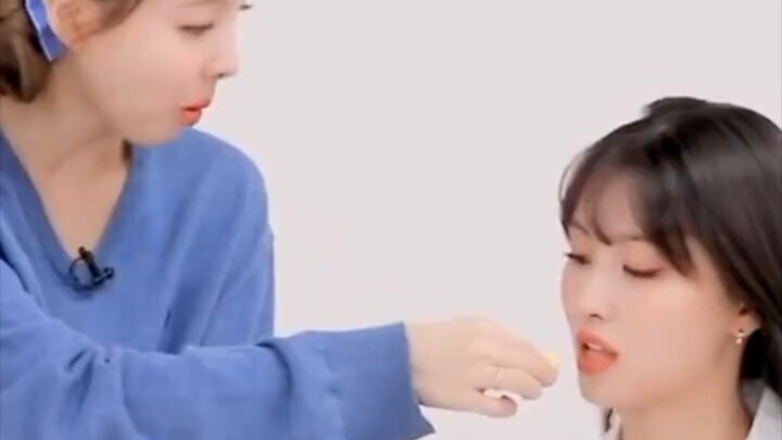 TWICE có thỏ con ở đây thì Đào Đào sẽ không bị đói