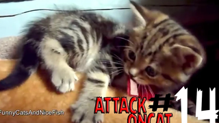 รวมพลแก๊งค์แมวฮ่า Attack on Cat ! 15 / ตอน หนูน้ำตาล พากย์นรก