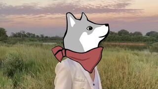 【Quin】Shagugan is used to forget you #touchdog
