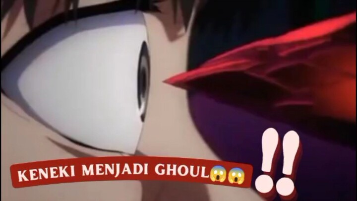 Tokyo Ghoul, keneki menjadi ghoul 😍