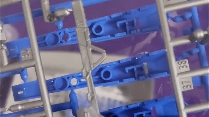 Tình trạng nấm mốc hiện tại của RG Manatee