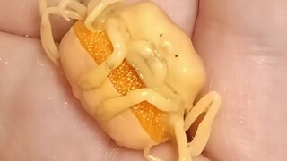 Sejenis makhluk yang suka mampir ke rumah orang lain hanya untuk makan dan minum gratis.