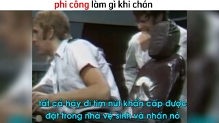 phi công làm gì khi chán