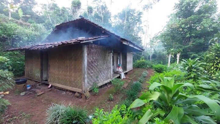 LUAR BIASA.. Tinggal Sendiri Di Rumah Terpencil Di Pinggir Hutan | Pedesaan Sunda
