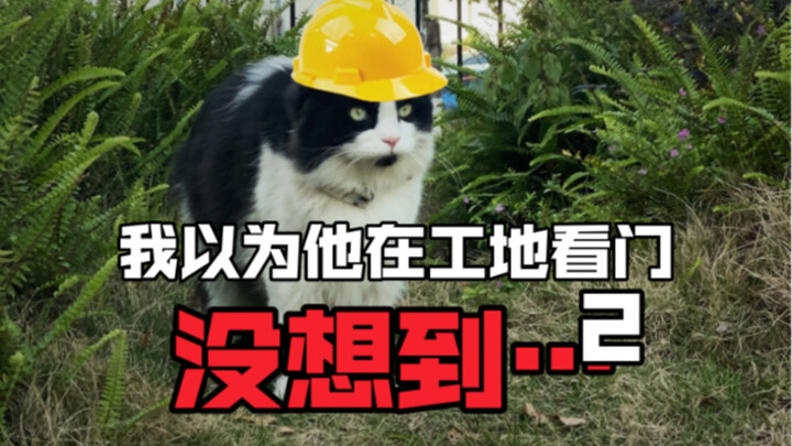 Who would have thought the ending would be a horror movie?