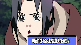卧底鼬收集的情报可能比药师兜还多？