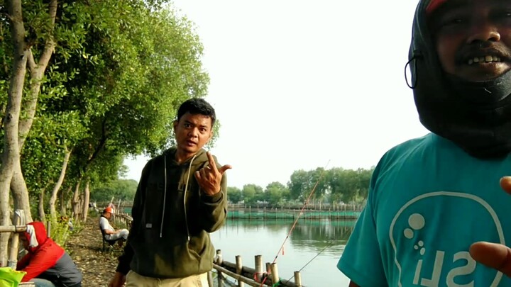 OPENING DUMUNG GACOR