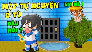 MẶP DORAM BỊ NOOB TỰ NHỐT VÀO NHÀ TÙ MÀU XANH SIÊU KHÓ CÙNG NAOBI Ở MINI WORLD | VIDEO SÁNG CÓ GÌ